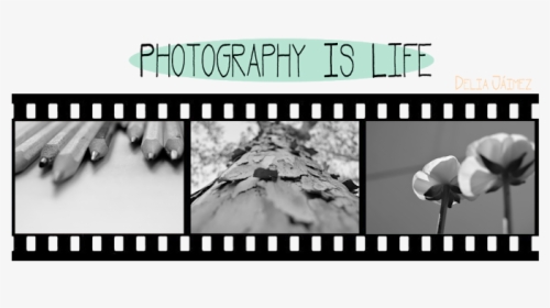 Photography Is Life - Portugal Em Selos 2005, HD Png Download, Transparent PNG