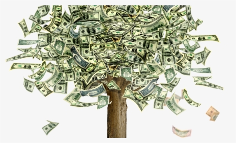 Transparent 100 Dollar Png - Money Tree, Png Download, Transparent PNG