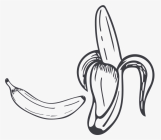 Collection Of Free Contour Drawing Banana Download - Black And White Banana Png, Transparent Png, Transparent PNG