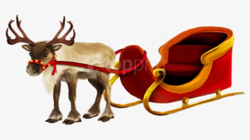 Christmas Reindeer Png - Reindeer And Sleigh Png, Transparent Png, Transparent PNG