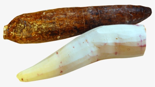 Cassava Peeled Png Image - Cassava Peeling Clipart, Transparent Png, Transparent PNG