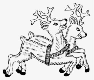 Reindeer, Animals, Deer, Flying, Christmas, Celebration - Reindeer Clipart Black And White, HD Png Download, Transparent PNG
