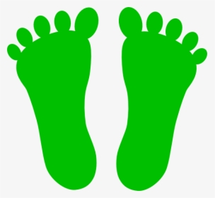 Green Footprint Clipart, HD Png Download, Transparent PNG