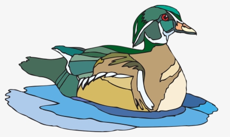 Duck Clipart Duck Beak - Duck Is Swimming Clipart, HD Png Download, Transparent PNG