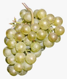 Wine Grapes Free Fruit Delicious Free Photo - Grape, HD Png Download, Transparent PNG