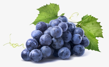 Grapes - Grape Png, Transparent Png, Transparent PNG