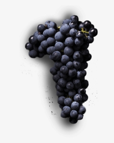 Central Otago Winery - Seedless Fruit, HD Png Download, Transparent PNG