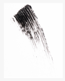 Sketch, HD Png Download, Transparent PNG