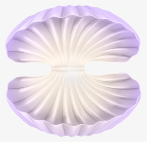 Png Open Clam Shell Clipart , Png Download - Scallop, Transparent Png, Transparent PNG