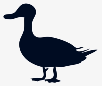 Donald Duck Mallard Silhouette Clip Art - Belligerent Duck, HD Png Download, Transparent PNG