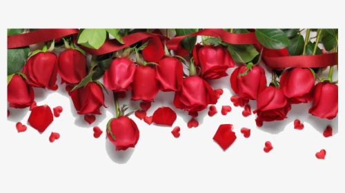 Transparent Rose Border Png - Red Roses Background Hd, Png Download, Transparent PNG