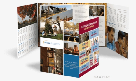 Transparent Brochures Png - Brochure, Png Download, Transparent PNG