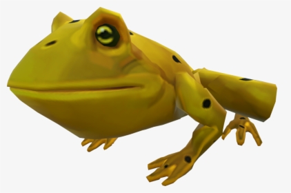 Golden Poison Frog, HD Png Download, Transparent PNG