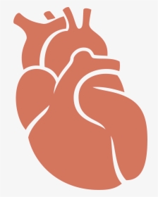 Donation Clipart Hand Heart - Organ Donation Clip Art, HD Png Download, Transparent PNG