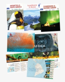 Tony Gordon Printcounsel Brochures Bentours Adventure - Flyer, HD Png Download, Transparent PNG