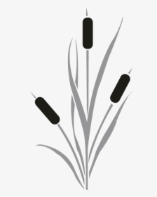 Cattail Drawing Clip Art - Cattail Reeds Silhouette, HD Png Download, Transparent PNG