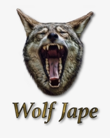 Wolf Jape - Fang, HD Png Download, Transparent PNG