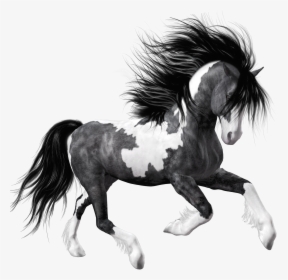 Transparent Mustang Horse Clipart - Black And White Horse Png, Png Download, Transparent PNG