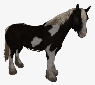 Skyrim Markarth Horse, HD Png Download, Transparent PNG