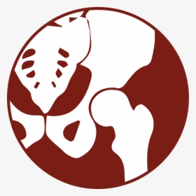 Hip Surgery - Hip Replacement Surgery Icon, HD Png Download, Transparent PNG