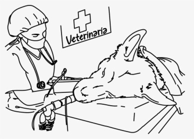 Veterinary, Operation, Dog, Surgery, Pet - Dog Surgery Drawing, HD Png Download, Transparent PNG
