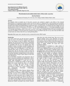 Document, HD Png Download, Transparent PNG