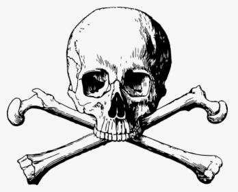 Crossbones, Skull, Danger, Death, Halloween, Dead - Skull And Crossbones Png, Transparent Png, Transparent PNG
