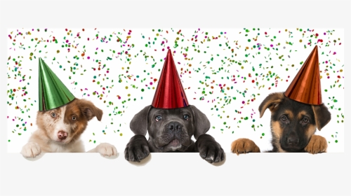 Transparent Pets Png - Happy New Year 2019 Puppy, Png Download, Transparent PNG