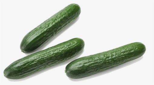 Mini Komkommers - Cucumber, HD Png Download, Transparent PNG