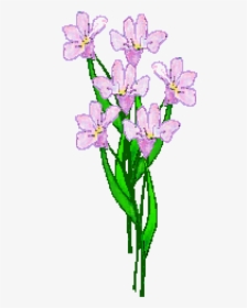 Lavender Flower Clip Art - Lily, HD Png Download, Transparent PNG