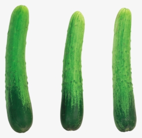 Cucumber Png Free Download - Cucumber With No Background, Transparent Png, Transparent PNG