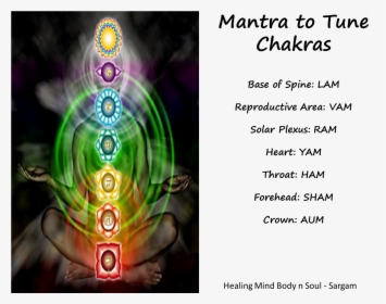 Sargam Tuning Chakras - Namah Shivaya In Chakras, HD Png Download, Transparent PNG