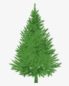 Christmas Tree - Christmas Tree Png Plain, Transparent Png, Transparent PNG