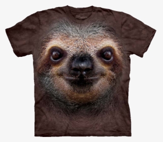 Sloth Face Png - Sloth Face Shirt, Transparent Png, Transparent PNG