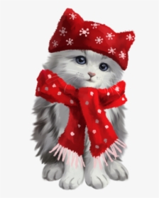 #cute #kitty #kitten #cat #grey #white #red #scarf - Kitten, HD Png Download, Transparent PNG