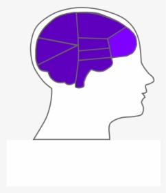 Head And Brain Outline Svg Clip Arts - Human Brain, HD Png Download, Transparent PNG