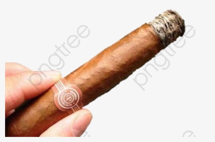 Cigars Cigar Smoke The - Transparent Cigar, HD Png Download, Transparent PNG