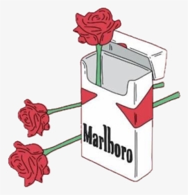 Cigar Cigarette Marlboro Roses Rose - Marlboro Roses, HD Png Download, Transparent PNG