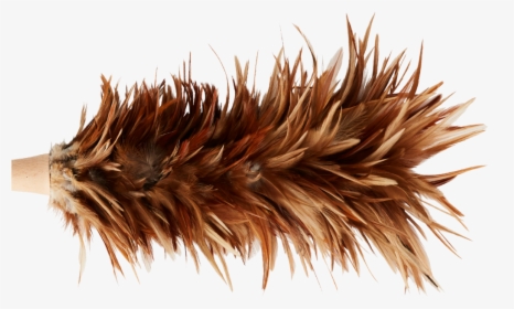 Transparent Feather Duster Png, Png Download, Transparent PNG