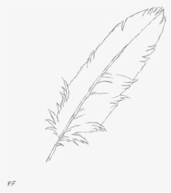 Transparent Feather Duster Png - Sketch, Png Download, Transparent PNG