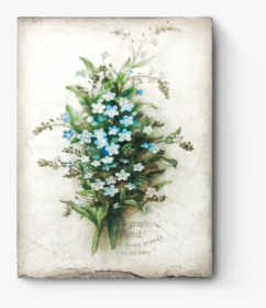 Spring Forget Me Not, HD Png Download, Transparent PNG