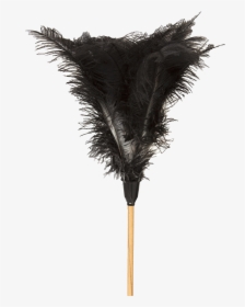 Feather Dusters South Africa, HD Png Download, Transparent PNG