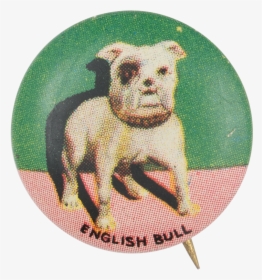 English Bull Art Button Museum - Bull And Terrier, HD Png Download, Transparent PNG