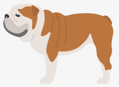 Old English Bulldog Dog Breed Bullmastiff Caucasian - Iconos De Bulldog Ingles, HD Png Download, Transparent PNG