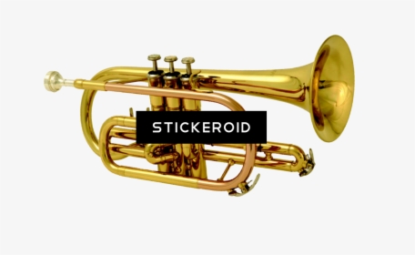 Download Instrument Cornet Full - Brass Band Instruments Png, Transparent Png, Transparent PNG