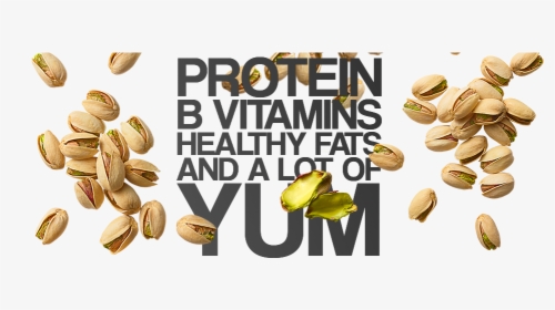Protein, B Vitamins, Healthy Fats And A Lot Of Tum - Pistachio, HD Png Download, Transparent PNG