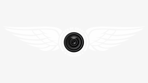 Ben De Graaf Freelance Cameraman - Camera Man Logo Png, Transparent Png, Transparent PNG