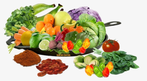 Transparent Vegetables Png - Какую Еду Нужно Есть Чтобы Быть Здоровым, Png Download, Transparent PNG