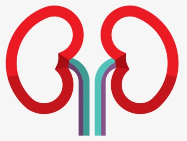 Circle, HD Png Download, Transparent PNG