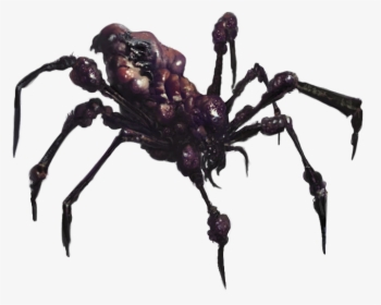Giant Spider Png - Araneus Cavaticus, Transparent Png, Transparent PNG